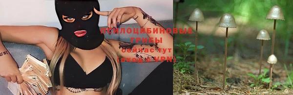 сатива Абинск