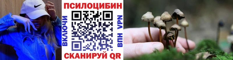 omg онион  купить  цена  Советский  Галлюциногенные грибы Psilocybe 